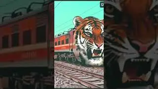 Tiger headed train #tiger #train #shorts