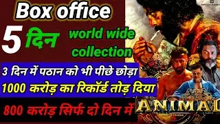 Animal movie 5 day box office collection/Animal 6 day box office collection/Animal total collection