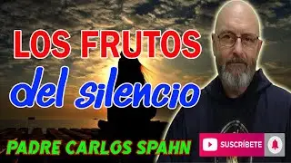 ⚠️THE IMPORTANCE OF SILENCE⚠️ - Father Carlos Spahn