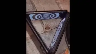Frog Prank | What happens if you anger a Frog | Funny Animals | Watch till the end | #Shorts