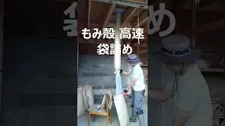 もみ殻落としで高速袋詰め。#shorts  #籾殻　#もみ殻 　#農業 #農業 #田んぼ #米作り #現代農業 #稲穂 #稲刈り