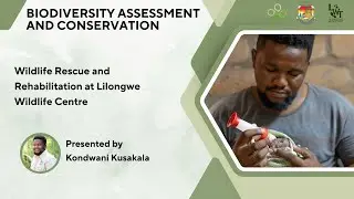 Wildlife Rescue and Rehabilitation at Lilongwe Wildlife Centre