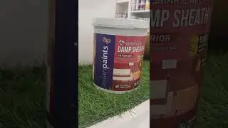 #Damp sheath interior pirmer Good for damp wall 🧱 smart work 👏 #viralsong #diy  #trending #shorts
