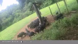 14 de janeiro de 2026