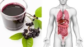 Aronia to jedno z najzdrowszych owoc&oacute;w na świecie - Oto co daje nam Sok z aronii