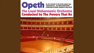 The Moor (Live)
