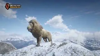 Lion Games Animal Simulator 3D