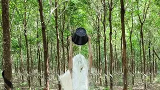 APT8 / Visit The 8th Asia Pacific Triennial of Contemporary Art