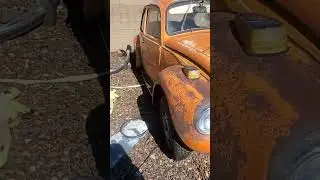$500 74 VW Beetle First Look