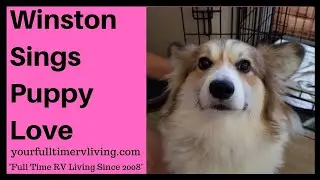 Winston Sings Puppy Love