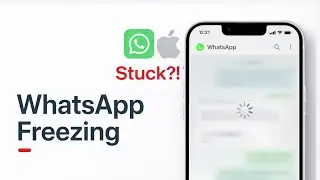 WhatsApp Lagging or Freezing on iPhone? | Fixed Slow Whatsapp & Boost Performance