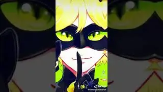 miraculous ladybug chat noir tiktok #tiktok #miraculousladybug #chat nor