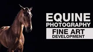 EQUINE PHOTOGRAPHY | Fine Art Development - EMILY HANCOCK | Part 4