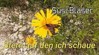Stern auf den ich schaue - Susi Blaser