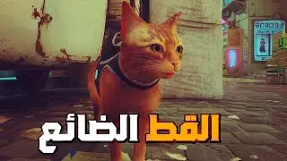 Stray🐈 القط الضائع