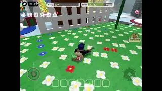 Playing bee swan simulator 