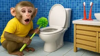 Monkey Baby YoYo: Monkey with Toilet Brush Meme | YoYo Monkey Life