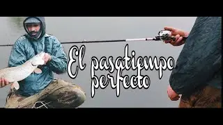 LUCIOS Y RIO TAJO