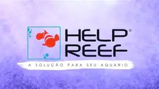 Explicando sobre o Exxodus