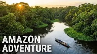 Most Dangerous Animals Of Amazon Rainforest | Strange Facts About Amazon Rainforest [Hindi/4K HD 