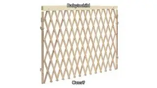 Evenflo Extra-Wide Baby Gate Review: Can It Truly Keep Kids and Pets Safe.