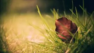 London Metropolitan Orchestra & The Cinematic Orchestra - Arrival Of The Birds