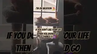 #vacation mode 😎 #catshorts #happyfriday #cat #catvideos #kitten #funnycats #weekend #summer #viral