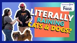 Pet Adoption Event and Needs of Shelters & Rescues Everywhere