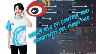 WBG Z9(Elg Z9) control and sensitivity|PEL 2021 tournament|Pel Chinese pro sensitivity|pubgmobile