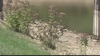 Lawmakers push to make drought assistance process more user-friendly