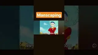 Manscaping Credits:Akira Toriyama,Toei Animation ,and Team Four Star ( Dragon Ball Z: Abridge)