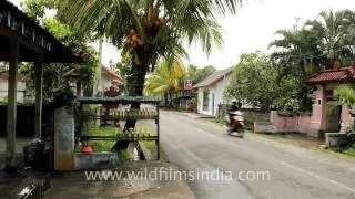 Small village - Canggu
