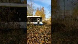 NVS Tram 825+813 At Rahlstedter Stra&szlig;e Route: 2-Hegelstra&szlig;e Bombardier SN 2001 #трамвай #tram #music
