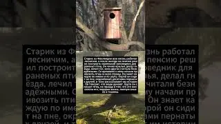 МОМЕНТ САМООБОРОНЫ  #историческиездания #историческиездания #casino #топ #топ #равнины