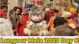 30+ Langoor at Our Home #durgianamandir #langoormelaamritsar #chanchalchoicevlog #sonumahant