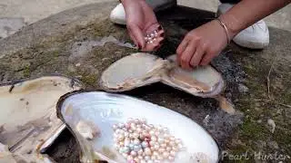 Experienced pearl hunters search for pearl mussels in murky river water