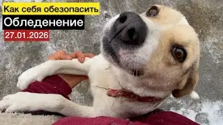 Гололёд 👉🏿ВЫЖИТЬ В ОДИНОЧКУ ОБЛЕДЕНЕНИЕ