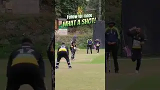 what a shot #cricket #ytshorts #cricketshorts #cricketvideo #powerhitting