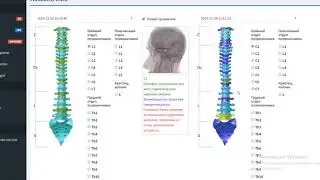 Что может Life Expert Profi  - контроль, анализ, коррекция организма