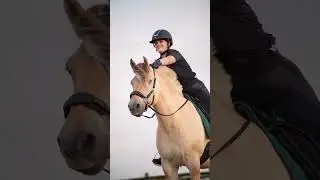 fjord lovers ❤️ #equestrian #horseriding #fjord #lovers