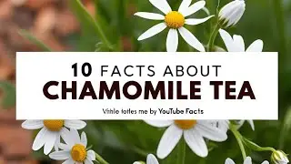 10 amazing benefits of chamomile tea