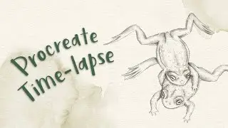 Illustrating wildlife in Procreate - Toad time-lapse