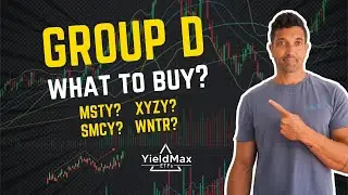YieldMax Group D this week! What to buy? MSTY vs SMCY vs XYZY vs WNTR