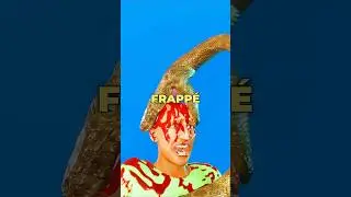 Il a laiss&eacute; un serpent le manger 🐍