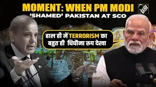 &ldquo;Al Qaeda & terrorist organisations&hellip;&rdquo; PM Modi shames Pakistan with Shehbaz Sharif in attendance