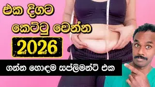 එක තැන නවතින්නෙ නැතුව එක දිගට බඩ අඩු කරගන්න 2026 ට මේ වැරදි හදාගන්න
