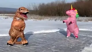 If David Attenborough Narrated Winter Sports Fails | Our Funny Planet