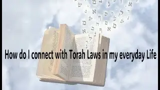 Shoftim -  Ki Teitzei - How do I connect with Torah Laws in everday life