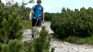Prima SVĚT: DogTrekking Maraton