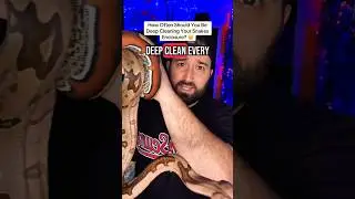 This is How OFTEN You Should Be Deep CLEANING Your Snake Enclosure! #snakecare